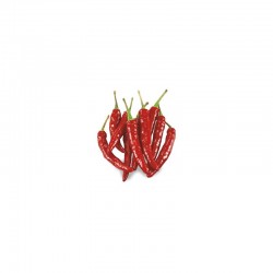 Mexican Chili Pepper seeds