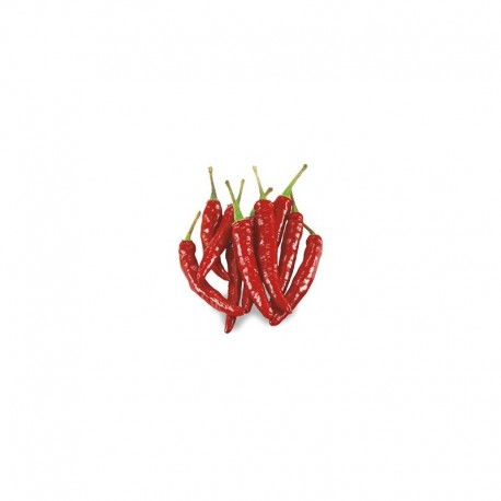 Graines de piment mexicain