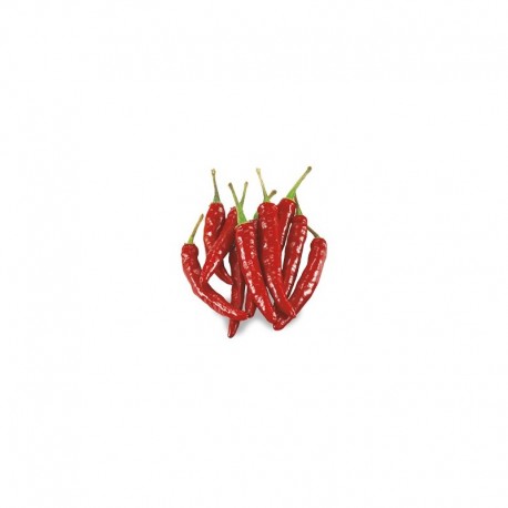 Mexican Chili Pepper seeds
