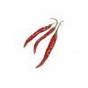 Chile de Arbol sec